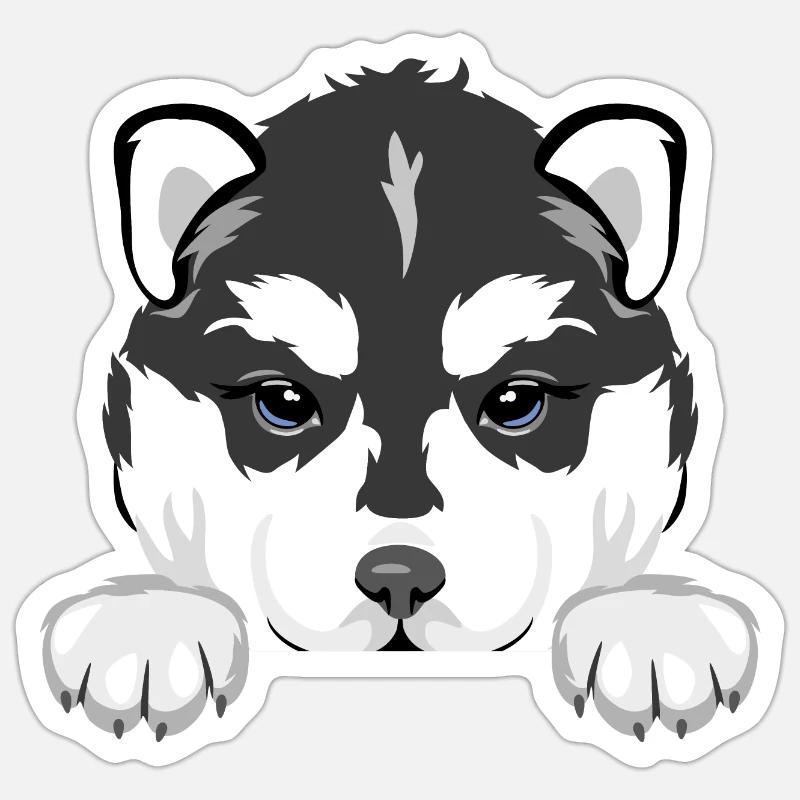 Spähender Husky-Welpe - Sticker Größe S (10 x 10 cm) - Mattweiß