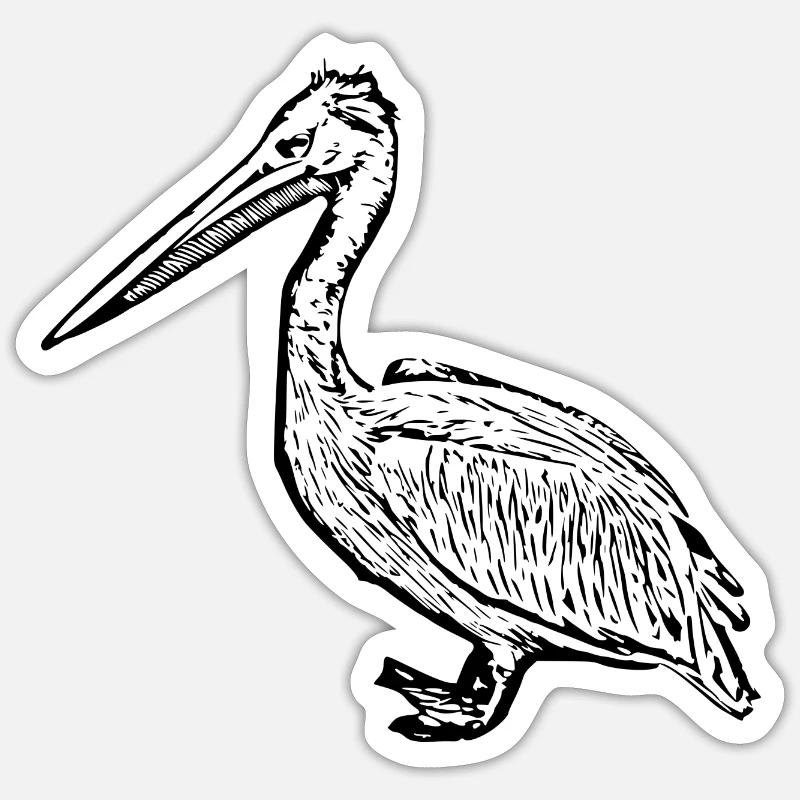 Pélicans Oiseaux Oiseaux Pelecanus - Sticker taille S (10 x 10 cm) - blanc mat