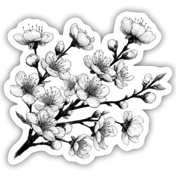 Kirschblüte - Sticker Größe S (10 x 10 cm) - Mattweiß - Vorne
