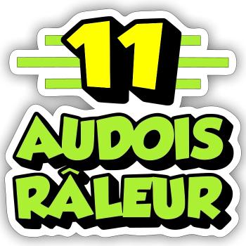 Complaining Audois - Sticker size S (10 x 10 cm) - white matte - Front