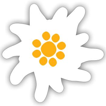Weiße Alpen Edelweiß Blume Bergblume Berge Wandern - Sticker Größe S (10 x 10 cm) - Mattweiß - Vorne
