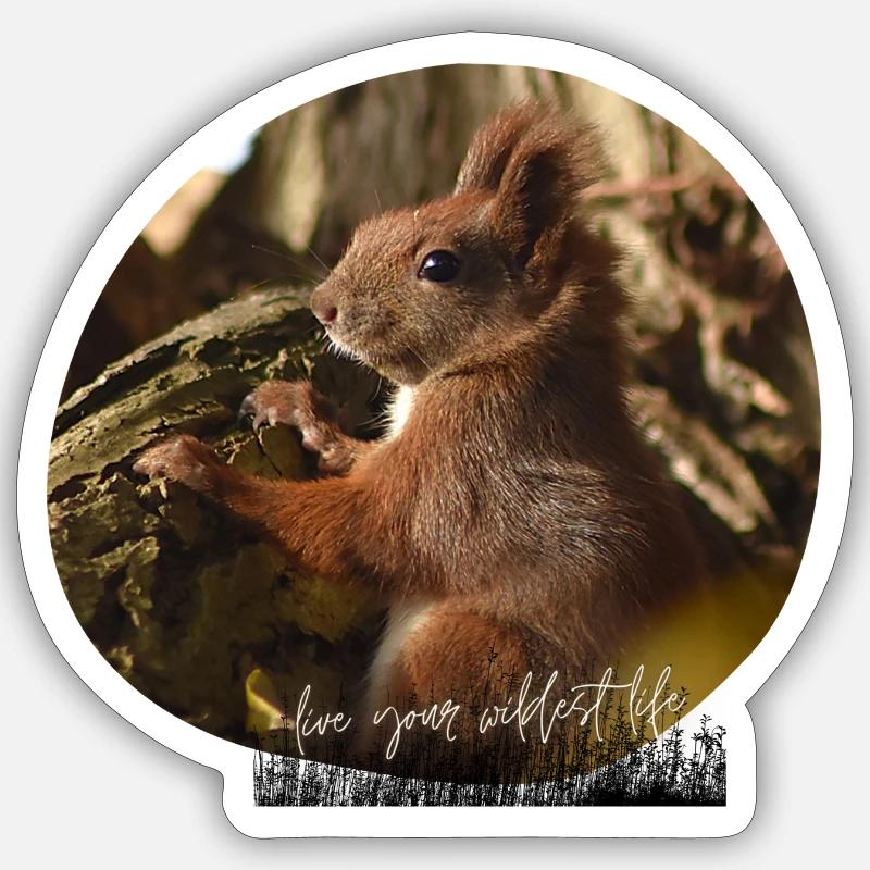 Squirrel Sticker size S (10 x 10 cm)