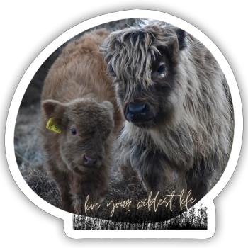 Highland Rinder Love - Sticker Größe S (10 x 10 cm) - Mattweiß - Vorne