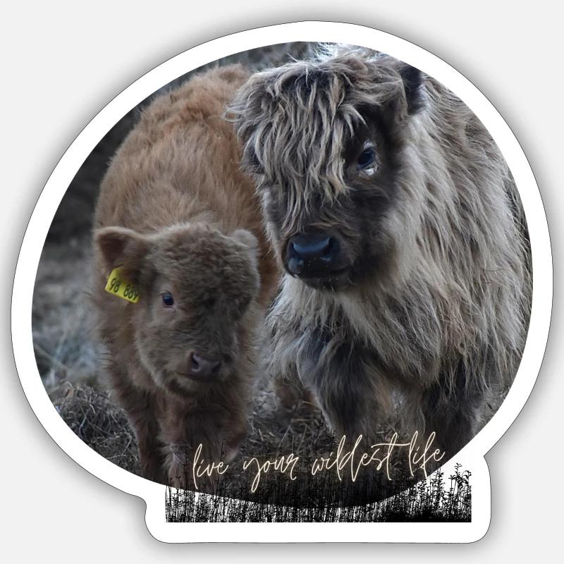 Highland Rinder Love Sticker Größe S (10 x 10 cm)