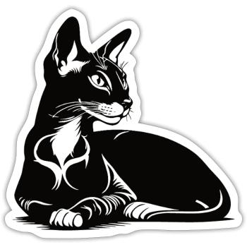 Orientalisch Kurzhaar – Elegant und charismatisch - Sticker Größe S (10 x 10 cm) - Mattweiß - Vorne