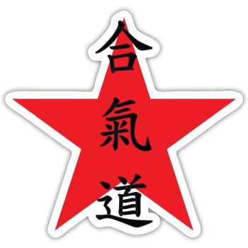 Aikido – Kampfsport – Aikido - Sticker Größe S (10 x 10 cm) - Mattweiß - Vorne
