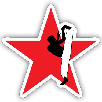 Capoeira - Combat - Danse - Sticker taille S (10 x 10 cm) - blanc mat - Devant