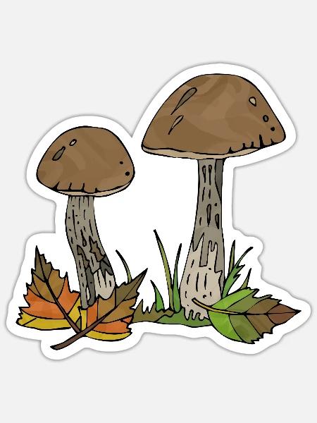Pilze - Sticker Größe S (10 x 10 cm) - Mattweiß