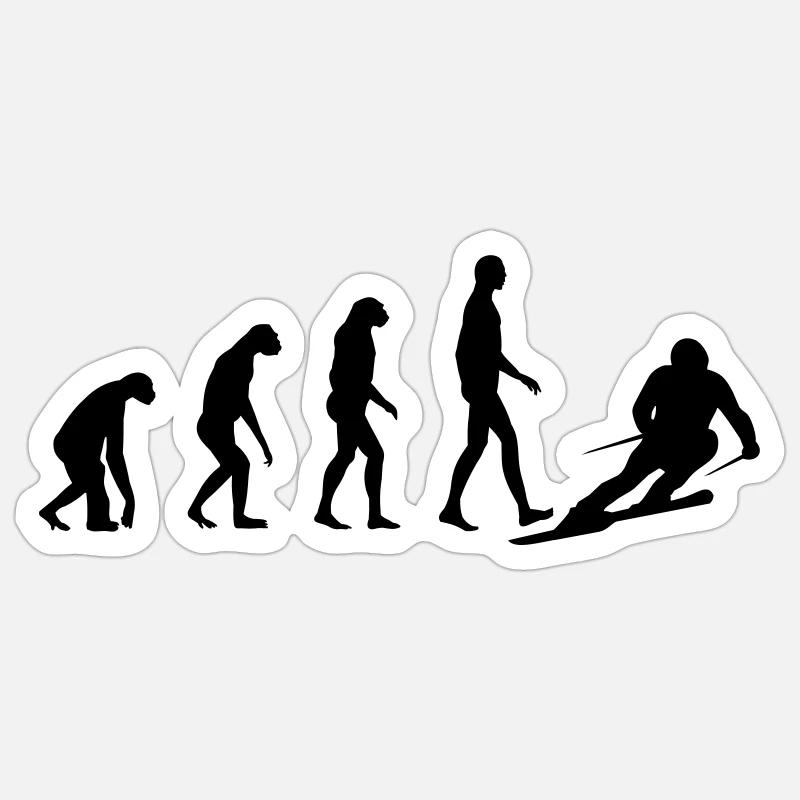 Evolution Ski Sticker Größe S (10 x 10 cm)
