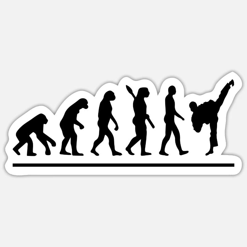 Évolution karaté / humour karaté - Sticker taille S (10 x 10 cm) - blanc mat