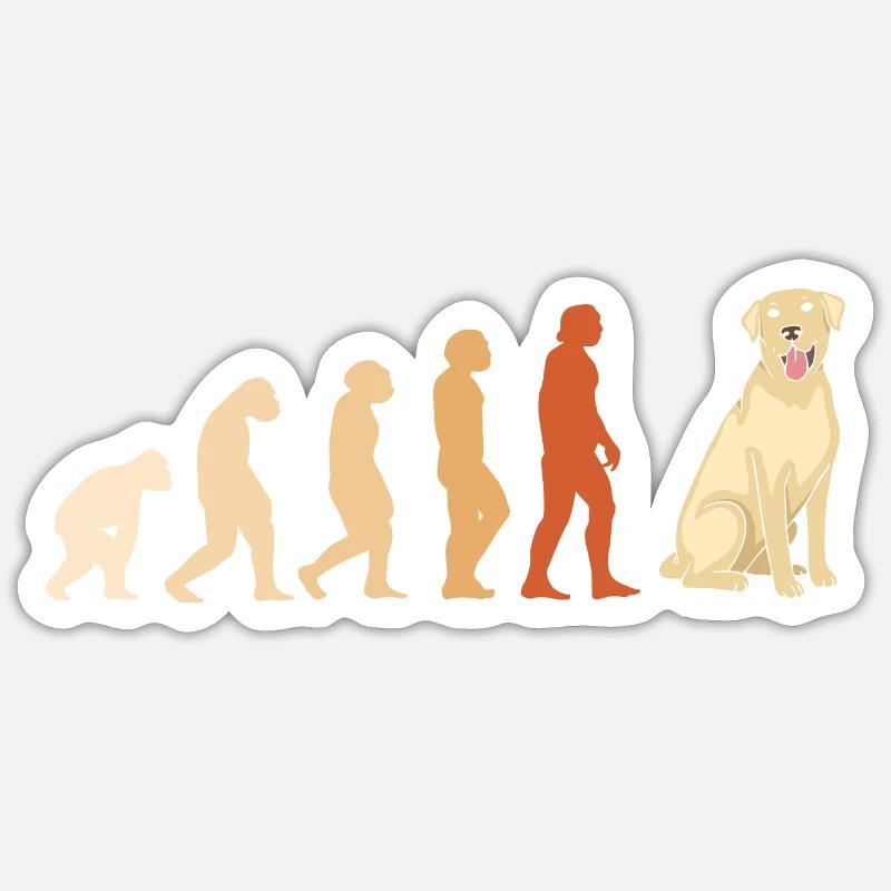 Evolution Labrador Retriever Sticker taille S (10 x 10 cm)