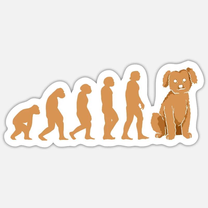 Caniche Evolution Sticker taille S (10 x 10 cm)