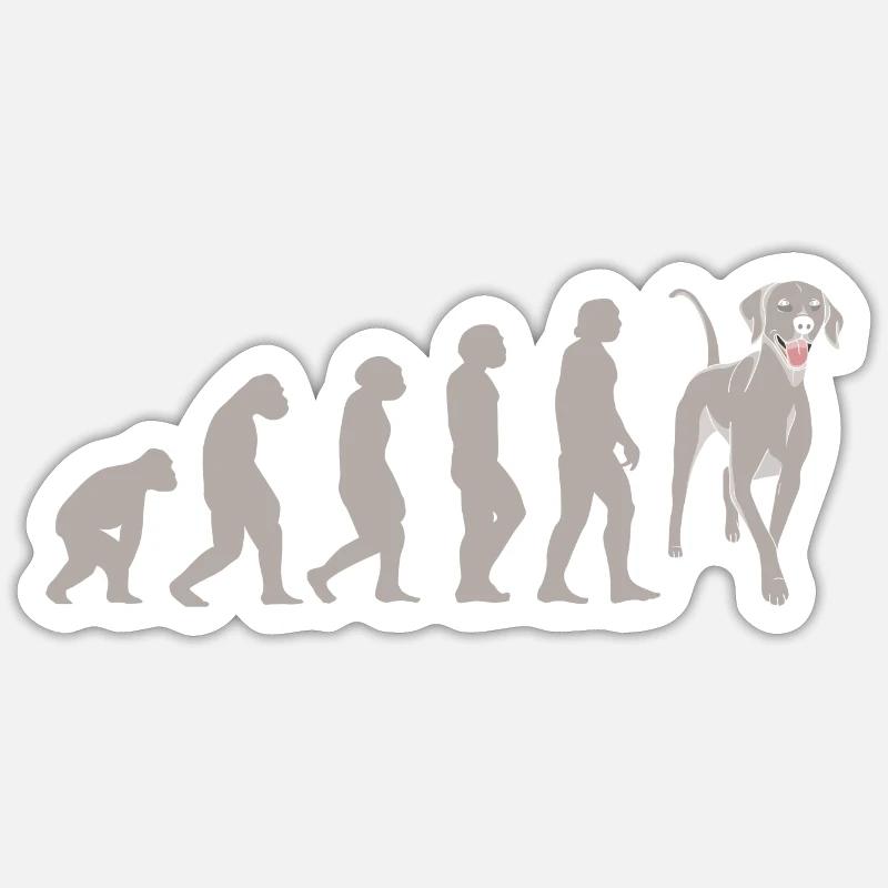 Braque de Weimar Evolution - Sticker taille S (10 x 10 cm) - blanc mat