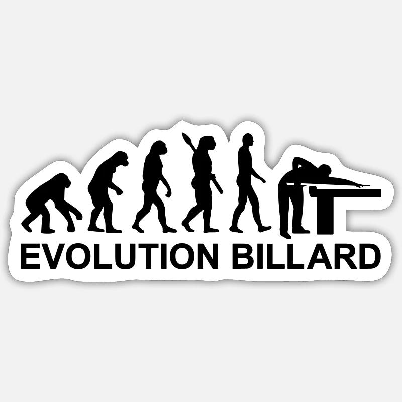 Évolution Billard Sticker taille S (10 x 10 cm)