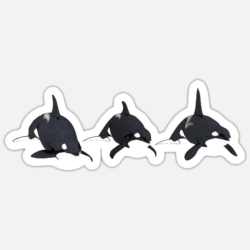 Three killer whales, orca, killer whale - Sticker size S (10 x 10 cm) - white matte