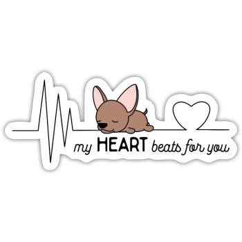 Chihuahua - Sticker Größe S (10 x 10 cm) - Mattweiß - Vorne