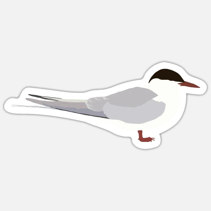 Arctic tern - Sticker size S (10 x 10 cm) - white matte