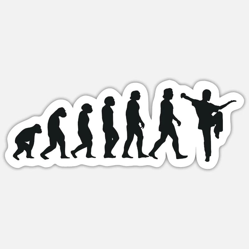Évolution du Kung Fu - Sticker taille S (10 x 10 cm) - blanc mat