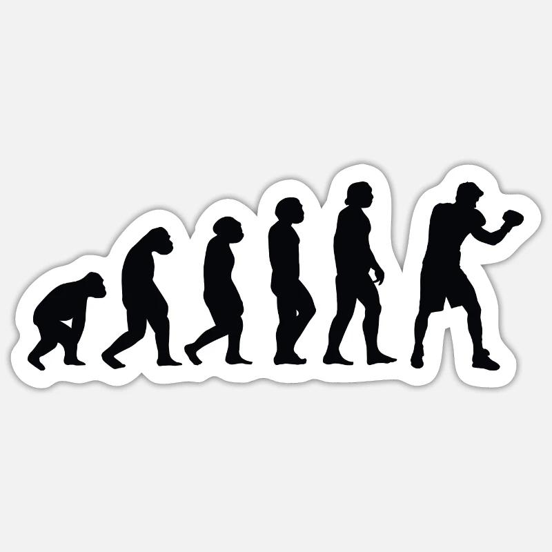 Evolution Boxe - Bo Sticker taille S (10 x 10 cm)