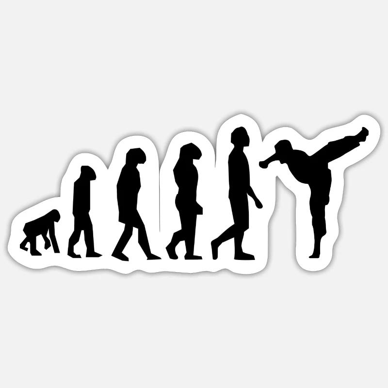 Art martiaux évolution - Sticker taille S (10 x 10 cm) - blanc mat