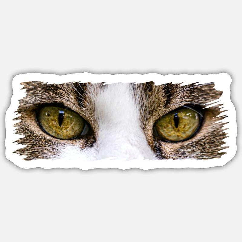 Yeux de chat - Sticker taille S (10 x 10 cm) - blanc mat