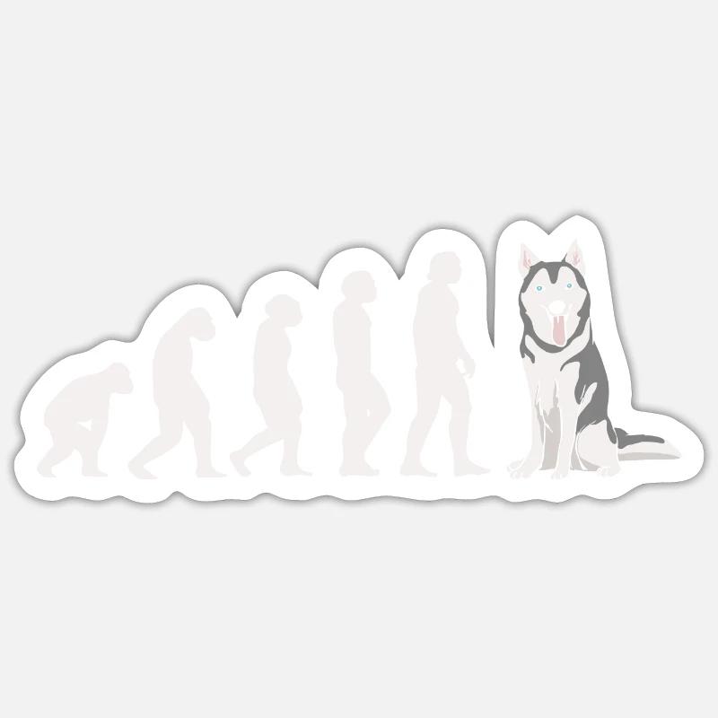 Evolution Husky sibérien - Sticker taille S (10 x 10 cm) - blanc mat