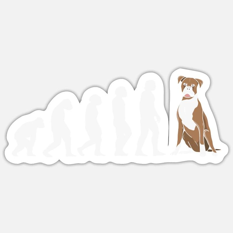 Evolution Boxer - Sticker Größe S (10 x 10 cm) - Mattweiß