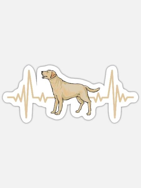 Gelber Labrador Retriever - Sticker Größe S (10 x 10 cm) - Mattweiß