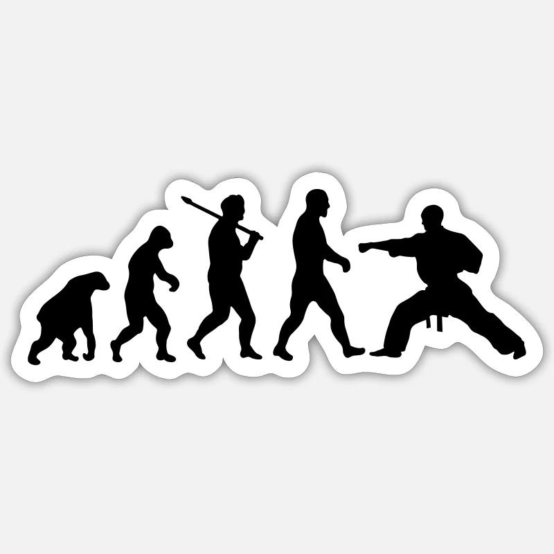 Evolution: Karate - Sticker taille S (10 x 10 cm) - blanc mat