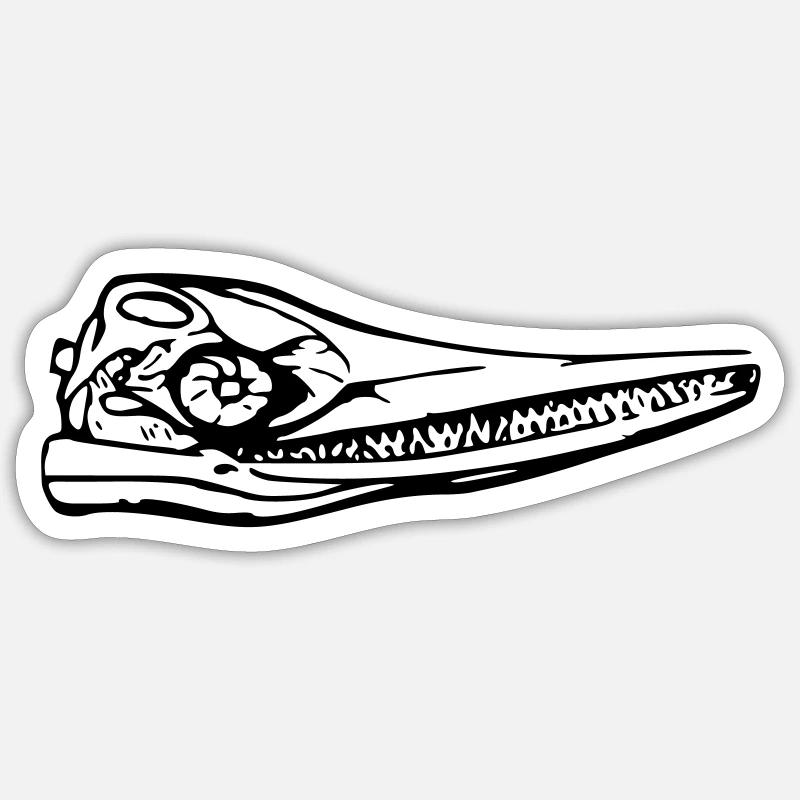 Urzeitwal Wal Fossil Dinosaurier Urzeit Schädel Sticker Größe S (10 x 10 cm)