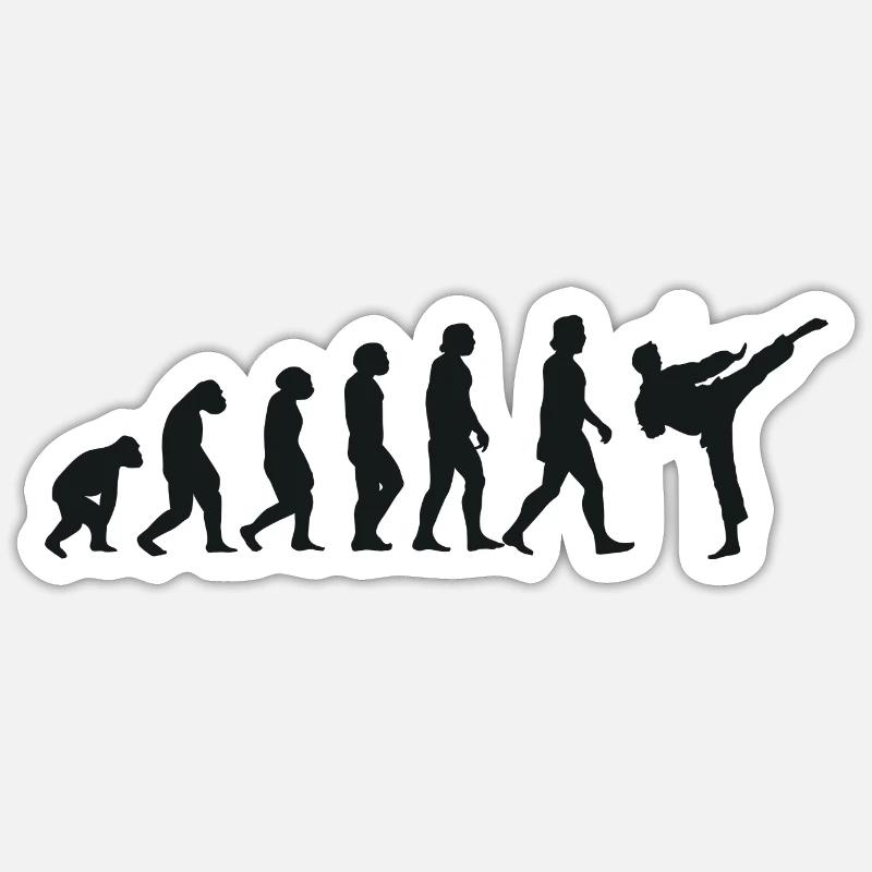 Evolution of Karate - Sticker size S (10 x 10 cm) - white matte