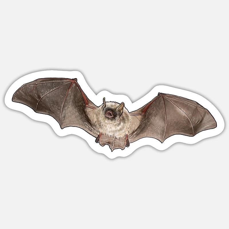 Nymphenfledermaus einzeln - Sticker Größe S (10 x 10 cm) - Mattweiß