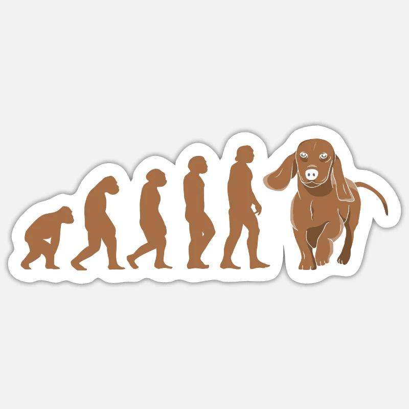 Evolution Dachshund - Sticker size S (10 x 10 cm) - white matte