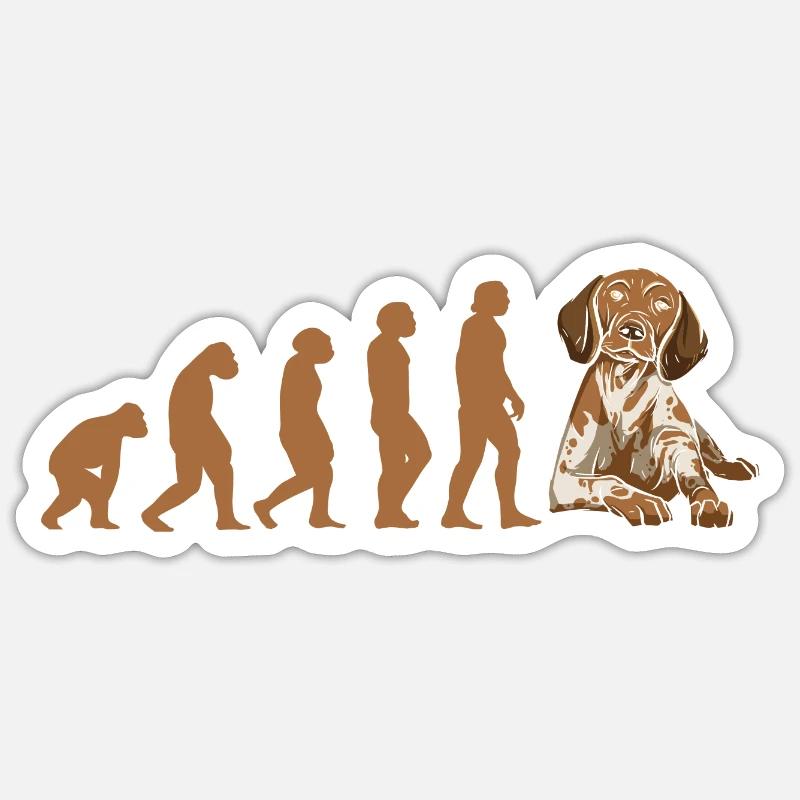 Evolution Pointeur allemand à poil court - Sticker taille S (10 x 10 cm) - blanc mat