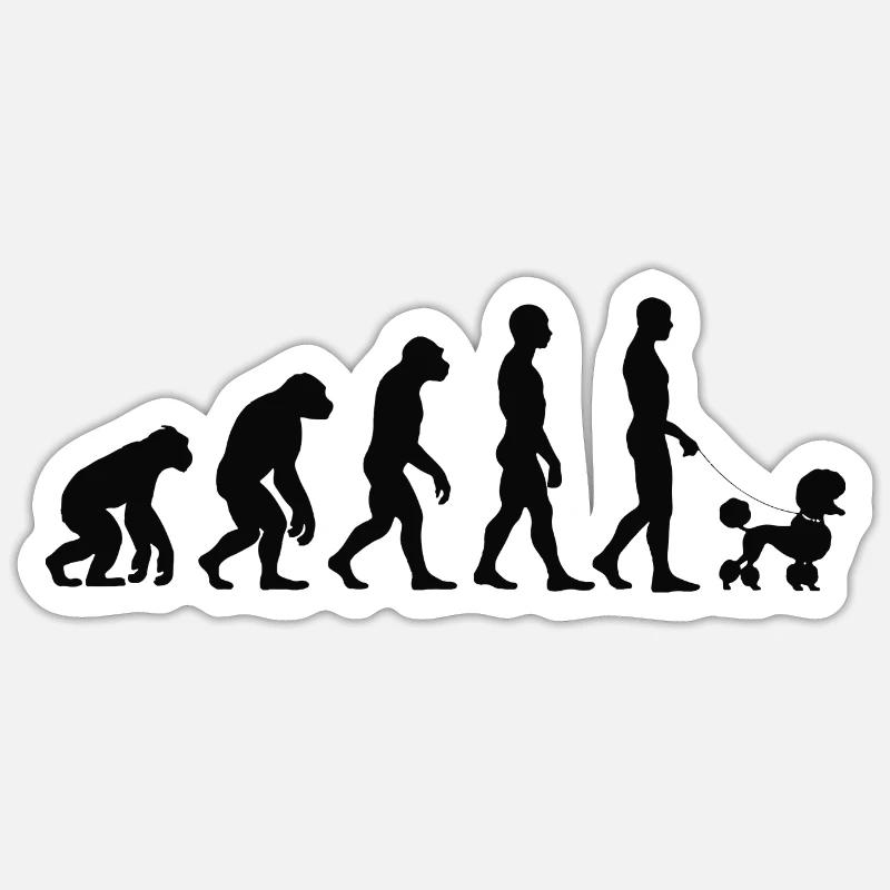 Poodle - Sticker size S (10 x 10 cm) - white matte