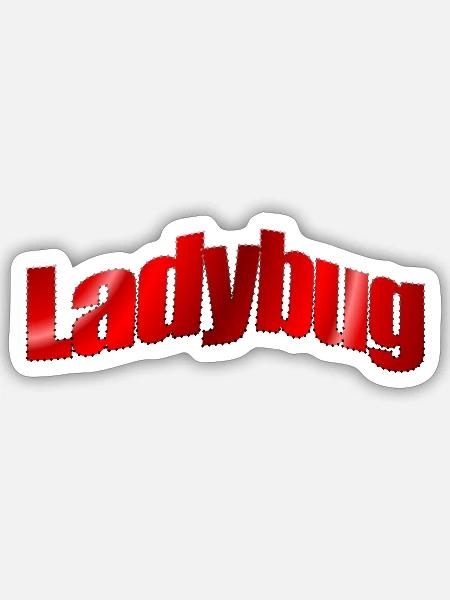 Dezentes Logo Ladybug - Sticker Größe S (10 x 10 cm) - Mattweiß