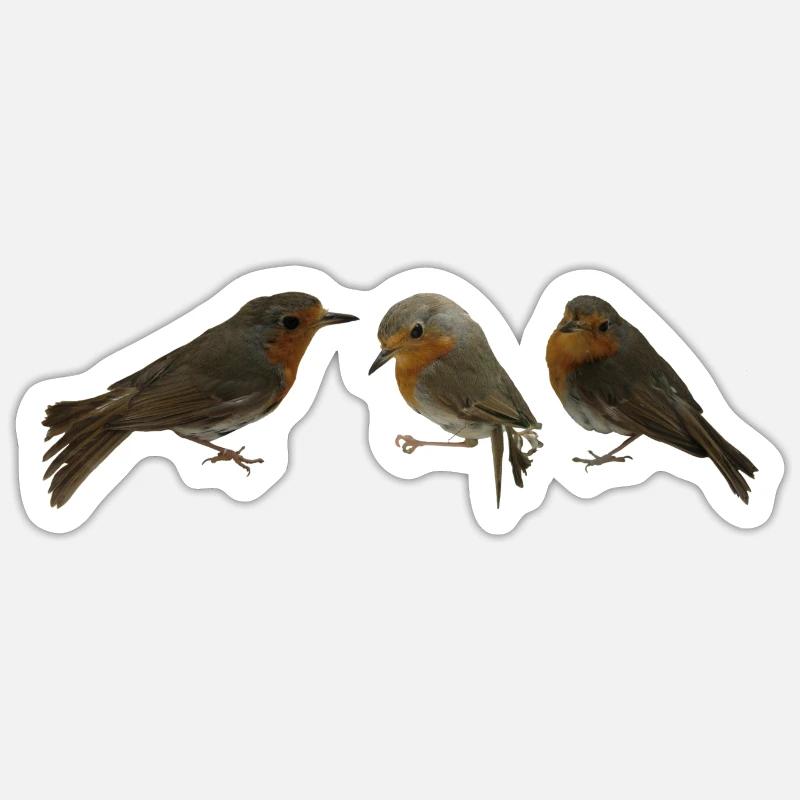 three robins Sticker size S (10 x 10 cm)