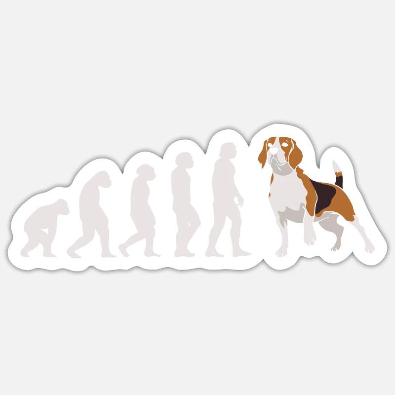 Evolution Beagle Sticker Größe S (10 x 10 cm)