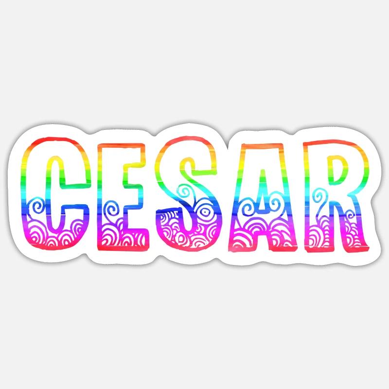 Cesar RS Rainbow - Sticker size S (10 x 10 cm) - white matte