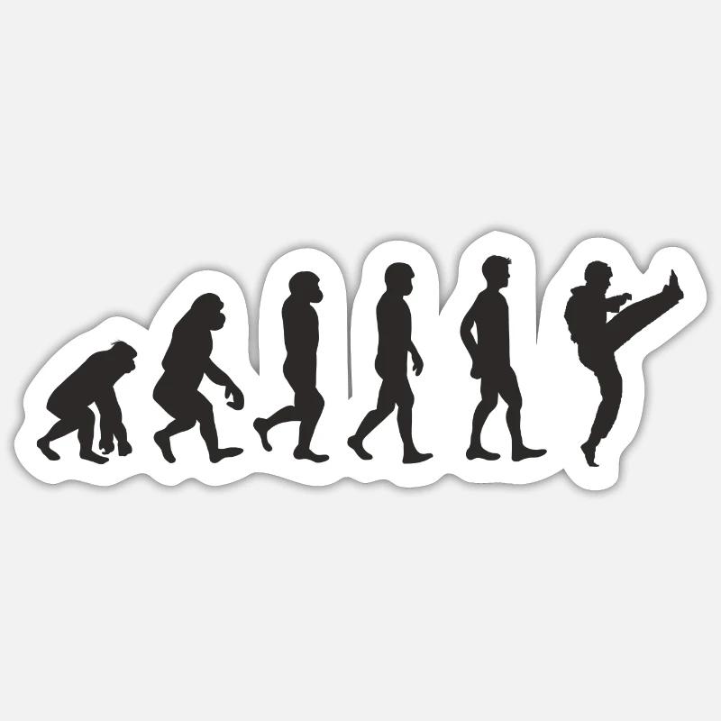Evolution Karate - Sticker Größe S (10 x 10 cm) - Mattweiß