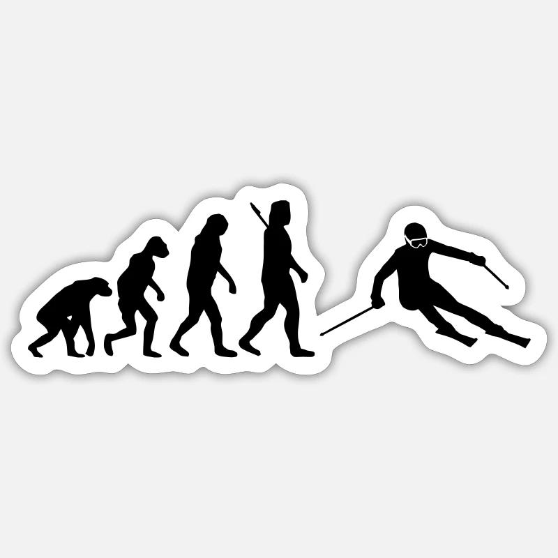 Evolution Alpine Ski Sticker Größe S (10 x 10 cm)