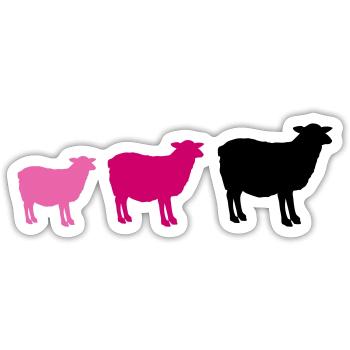 sheep family - Sticker size S (10 x 10 cm) - white matte - Front