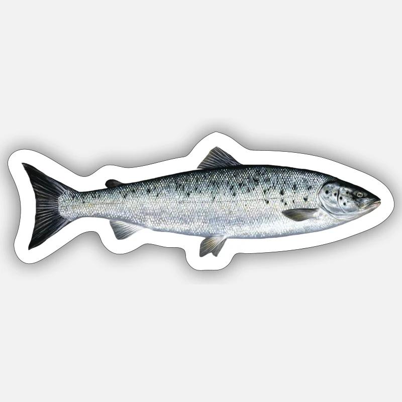 salmon - Sticker size S (10 x 10 cm) - white matte