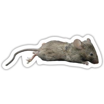 Maus - Sticker Größe S (10 x 10 cm) - Mattweiß - Vorne