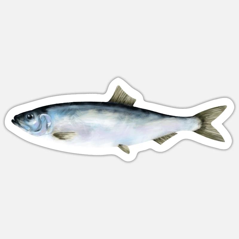 herring - Sticker size S (10 x 10 cm) - white matte