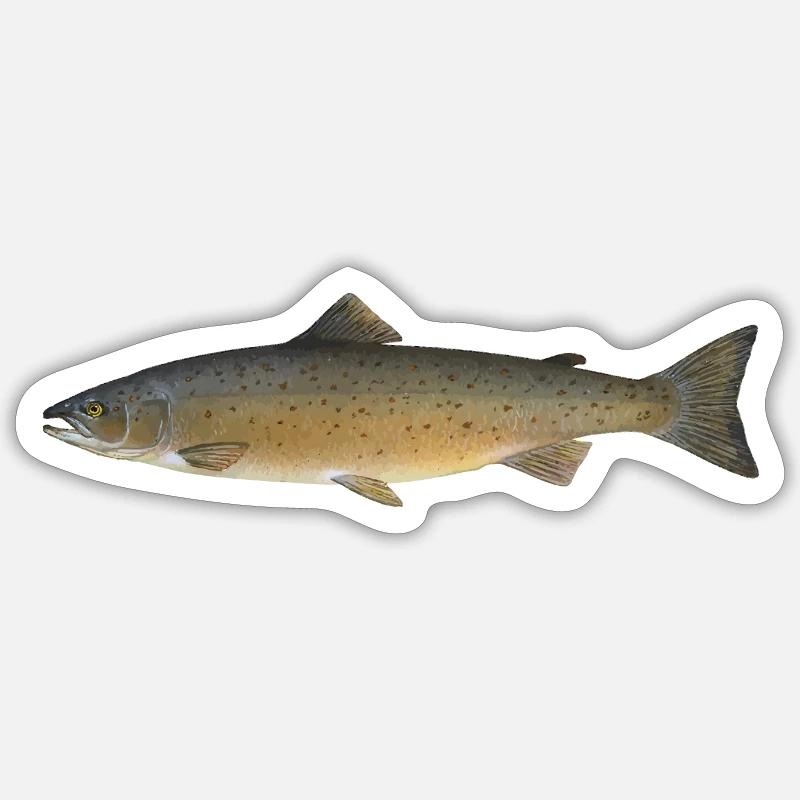 fish471 - Sticker Größe S (10 x 10 cm) - Mattweiß