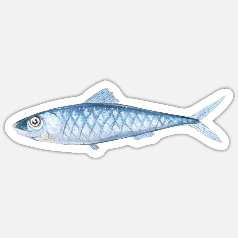 Painted fish - Sticker size S (10 x 10 cm) - white matte
