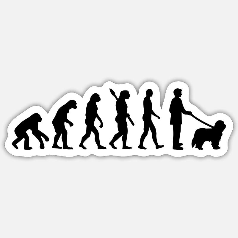 Bearded Collie - Sticker size S (10 x 10 cm) - white matte