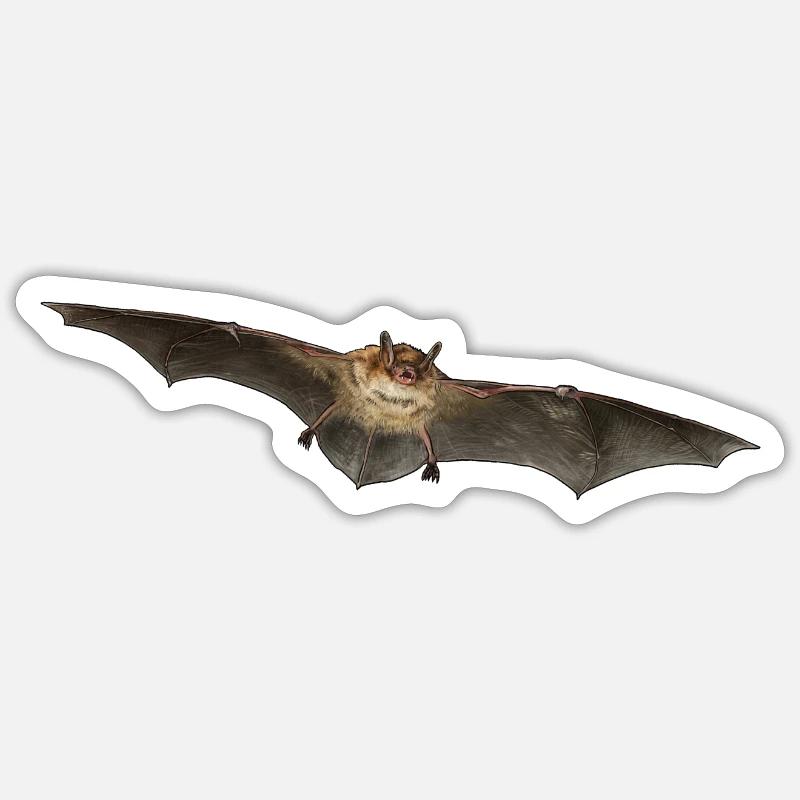 Pond bat individually Sticker size S (10 x 10 cm)
