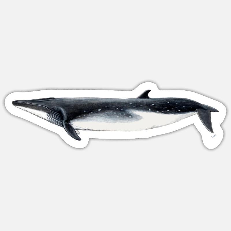 Bryde - Bryde baleine - rorqual tropical - Sticker taille S (10 x 10 cm) - blanc mat